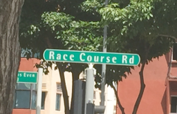 Race Course Road (Generic road name)