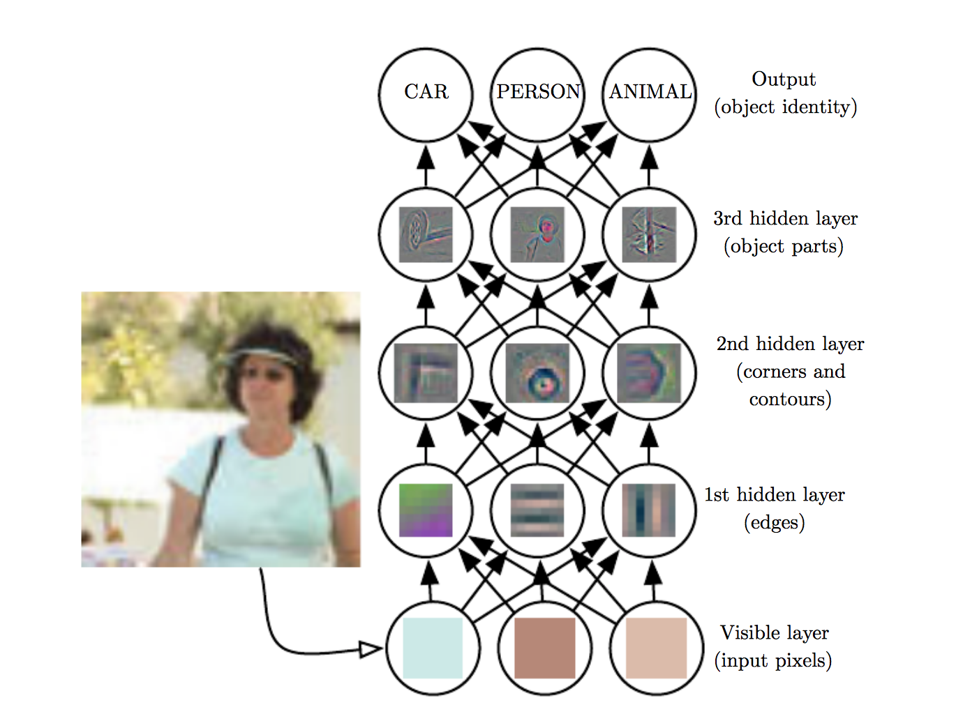 Convolutional neural networks learn hierarchical representations